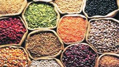 PULSES DAL SHOP