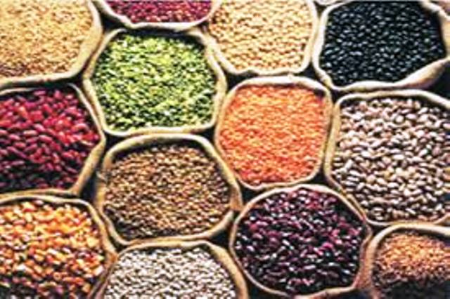 PULSES DAL SHOP