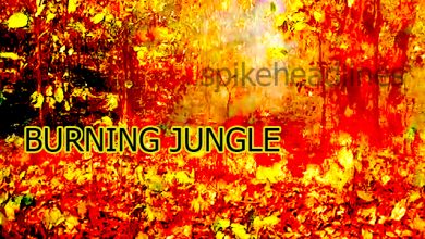 burning-jungle shimilipal