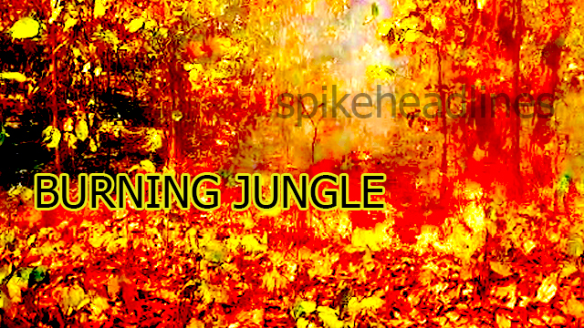 burning-jungle shimilipal